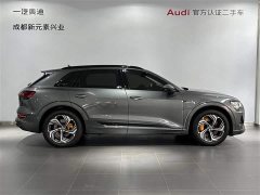 Audi e-tron 50 quattro Version - фото 3