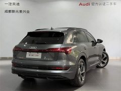 Audi e-tron 50 quattro Version - фото 4