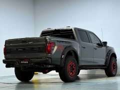 Ford F-150 Raptor R - фото 17