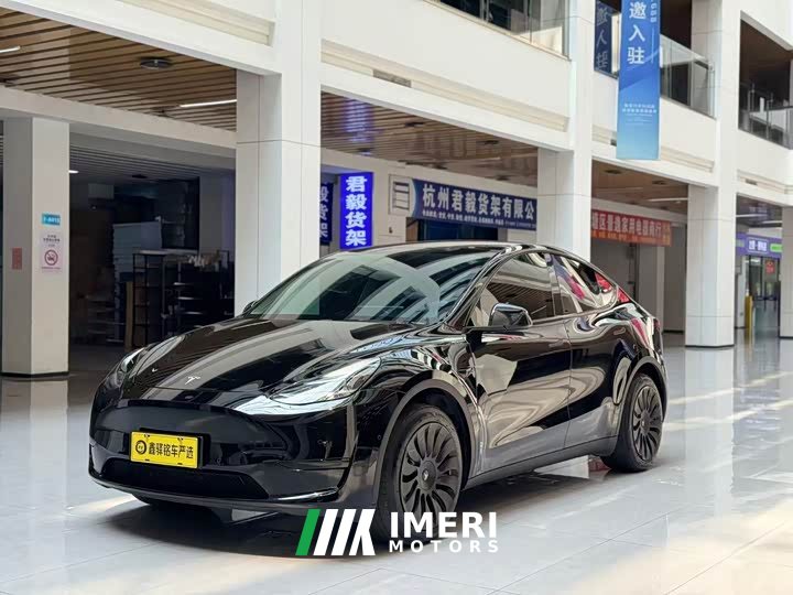 Tesla Model Y Edition - автомобиль из Китая