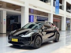 Tesla Model Y Edition - фото 1