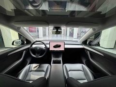 Tesla Model Y Edition - фото 15