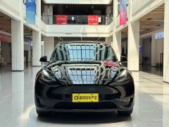 Tesla Model Y Edition - фото 2