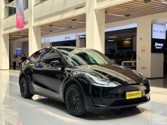 Tesla Model Y Edition - фото 3