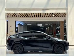 Tesla Model Y Edition - фото 4