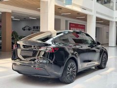 Tesla Model Y Edition - фото 5