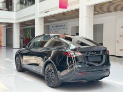 Tesla Model Y Edition - фото 7