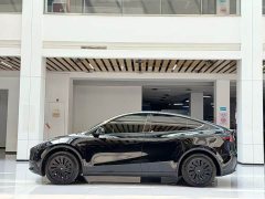 Tesla Model Y Edition - фото 8