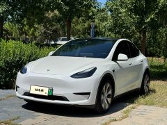 Tesla Model Y Edition - фото 1
