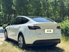 Tesla Model Y Edition - фото 16