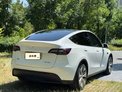 Tesla Model Y Edition - фото 18