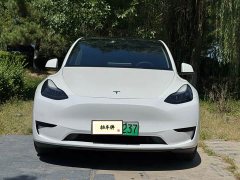 Tesla Model Y Edition - фото 2