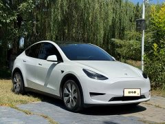 Tesla Model Y Edition - фото 3