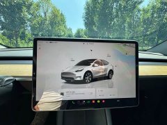 Tesla Model Y Edition - фото 6