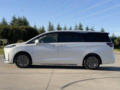 Buick GL8 Deluxe Edition - фото 4