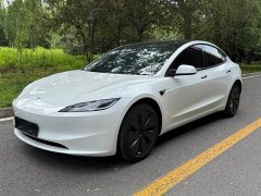 Tesla Model 3 Edition - фото 1