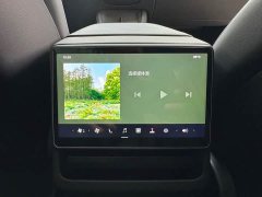Tesla Model 3 Edition - фото 14