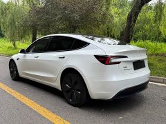 Tesla Model 3 Edition - фото 6