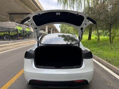 Tesla Model 3 Edition - фото 7
