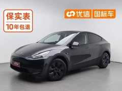 Tesla Model Y Edition - фото 1