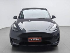 Tesla Model Y Edition - фото 3