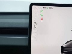 Tesla Model 3 Edition - фото 13