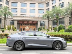 BYD L DM-i Smart Drive Edition 80KM Version - фото 15