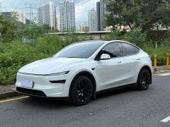 Tesla Model Y Edition - фото 1