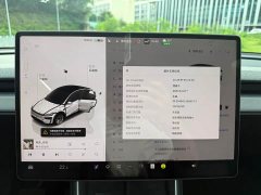 Tesla Model Y Edition - фото 10