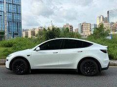 Tesla Model Y Edition - фото 13