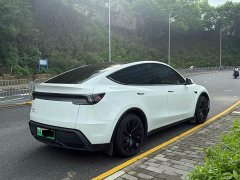 Tesla Model Y Edition - фото 16