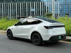 Tesla Model Y Edition - фото 18