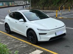 Tesla Model Y Edition - фото 3