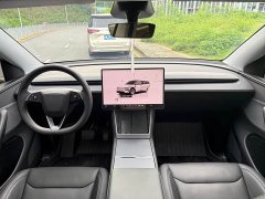 Tesla Model Y Edition - фото 7