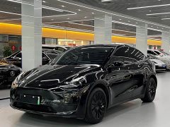 Tesla Model Y Edition - фото 1