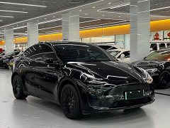 Tesla Model Y Edition - фото 2