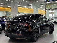 Tesla Model Y Edition - фото 3