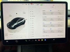 Tesla Model Y Edition - фото 18