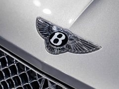 Li Auto 4.0T GT V8 - фото 6