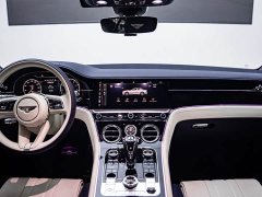 Li Auto 4.0T GT V8 - фото 9