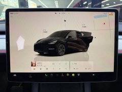 Tesla Model Y Edition - фото 15