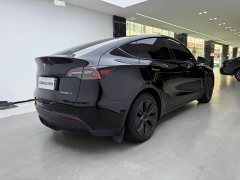 Tesla Model Y Edition - фото 3