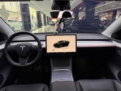 Tesla Model Y Edition - фото 7