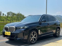 BMW X5 xDrive 30Li Deluxe VersionM - фото 1