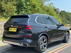 BMW X5 xDrive 30Li Deluxe VersionM - фото 18