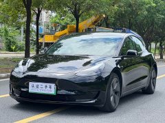 Tesla Model 3 Edition - фото 1
