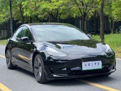 Tesla Model 3 Edition - фото 3