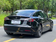 Tesla Model 3 Edition - фото 9