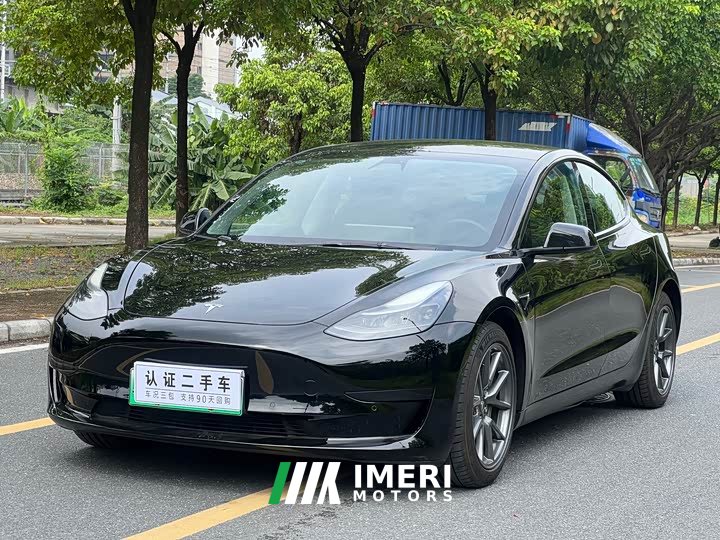 Tesla Model 3 Standard Range Edition 3D1 - автомобиль из Китая