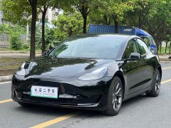 Tesla Model 3 Standard Range Edition 3D1 - фото 1